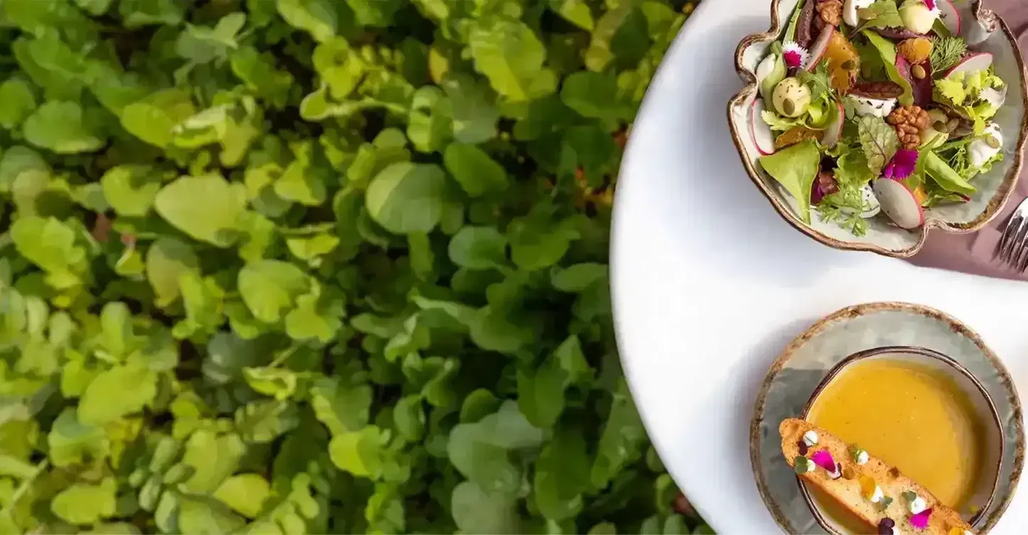 Food on a plate placed over grass at Karma Chalets, our luxury hotel in Delhi NCR.