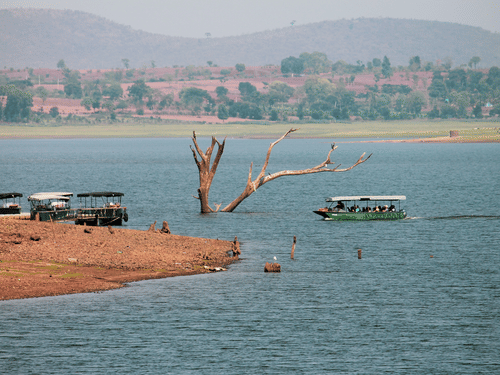 Boats anchored at the rive bank with the distant green land att he background.
