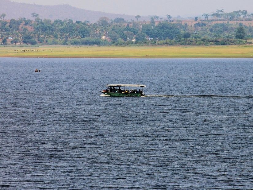 A boat in the kabini river with the kabini forest in the background