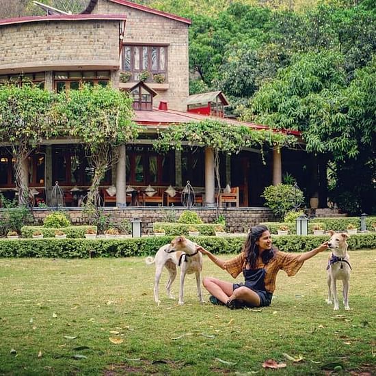 Pet Friendly