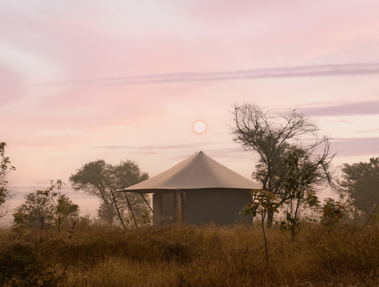View of a hut during dusk amongst greenery at Trees N Tigers, Tadoba.