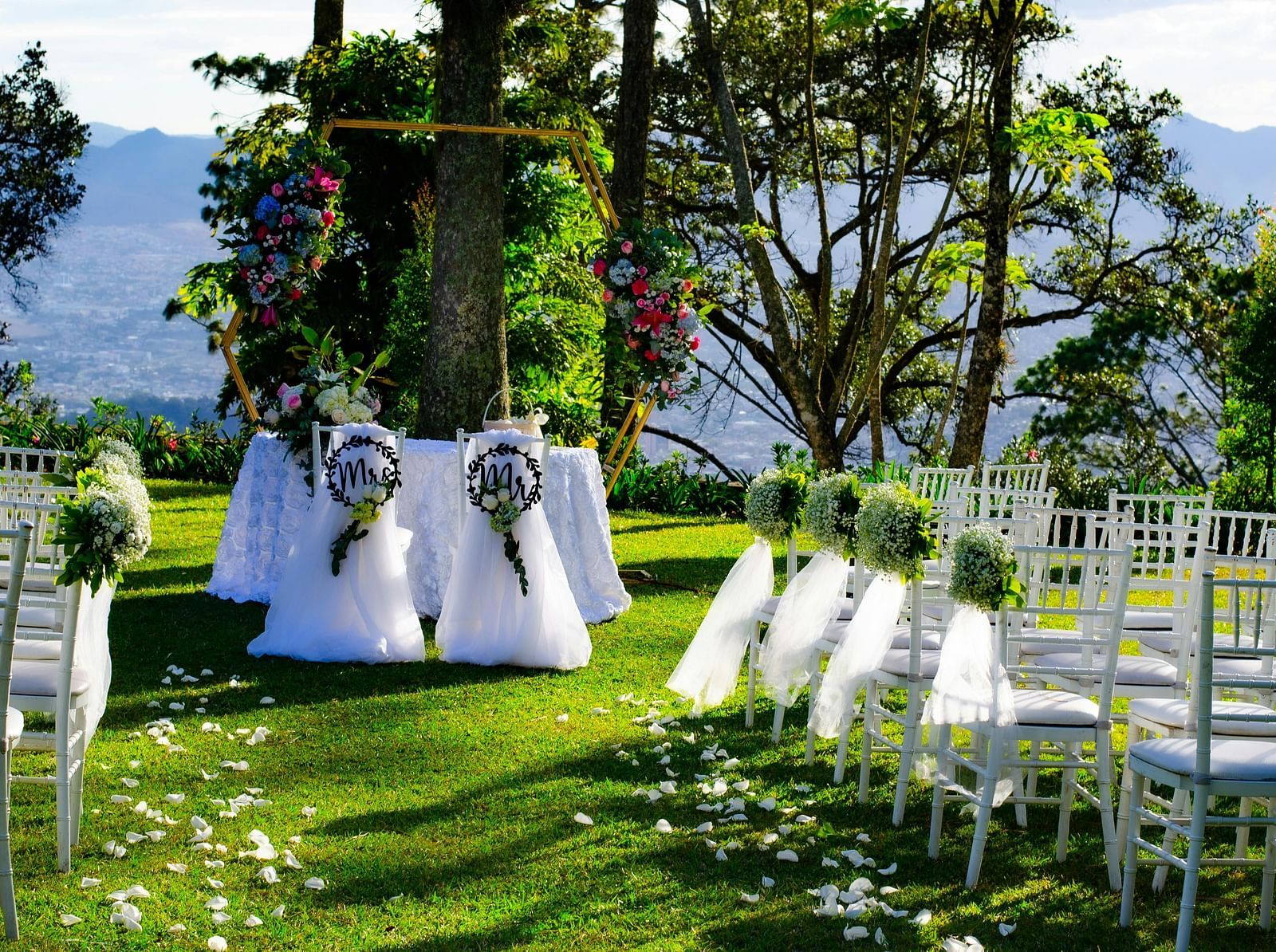 A close-up view of a wedding lawn with chairs lining the pathway