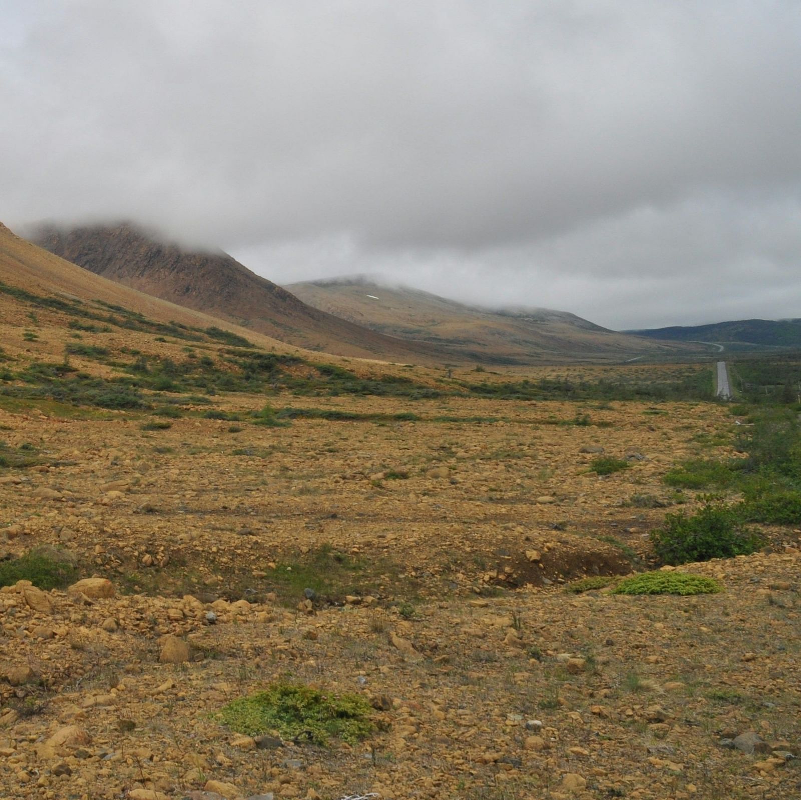 Vast highland meadow with mist-covered hills in the distance.