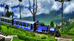 Central Hotels  Darjeeling