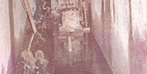 mahibajaj2