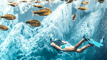 a person swimming underwater next to a school of fish
