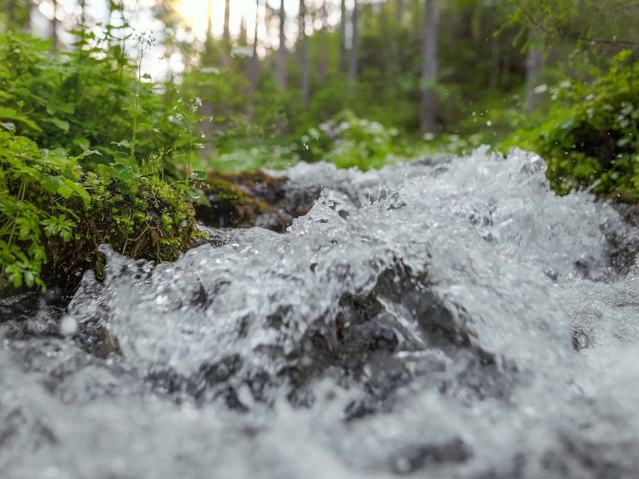 a stream of crystal clear water in a small mountain river