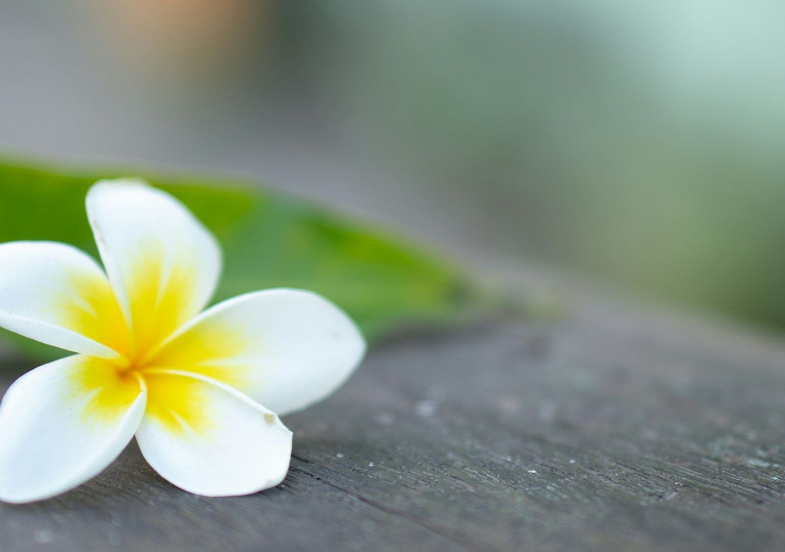 madrosah-sunnah-dBbDJ IQm8A-unsplash