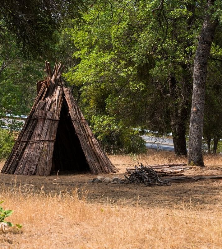 a tepee in a clearing in a forest, surrounded by timber.