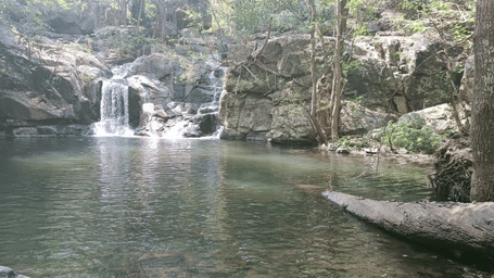 A small waterfall flowing into a calm, shaded woodland pool surrounded by rocks and trees at DNC Shevaroys Resort & Spa.