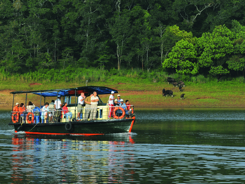 An overview of boat with many people travelling on a waterbody inside Periyar Wildlife Sanctuary and a herd of Gaurs on the land in the background.