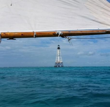 d9a35ec2-8f1c-44cb-96fb-fd67f83e256e