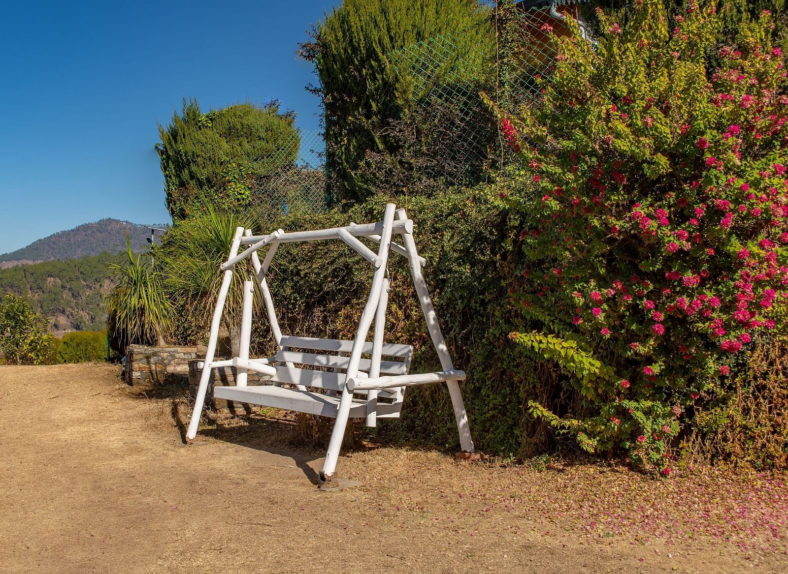 A white wooden swing bench set against vibrant foliage and a rustic garden setting taken from a far angle view. - Blusalzz Homes The Himalayan Bungalow, Almora