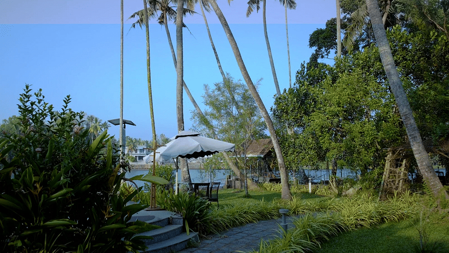A paved pathway leading through a tropical landscape with palm trees and greenery.