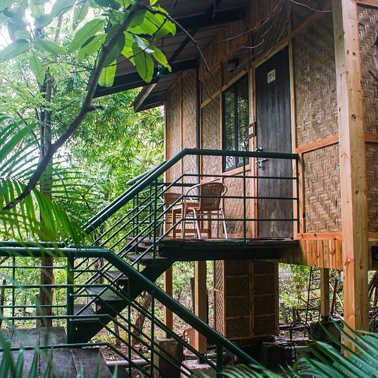 Tree top rooms mounted on wood stilts, nestled among the trees at Nature Trails Sajan.