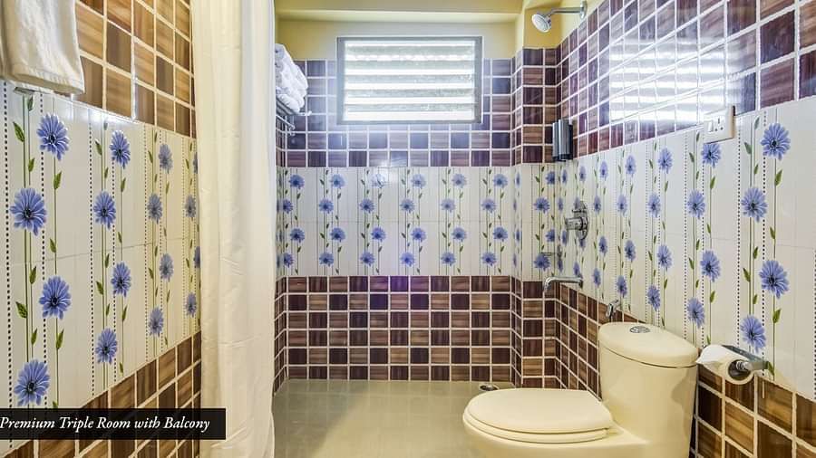 Image of a washroom with modern amenities at Summit Tashi Ghang Heritage Resort, Pelling