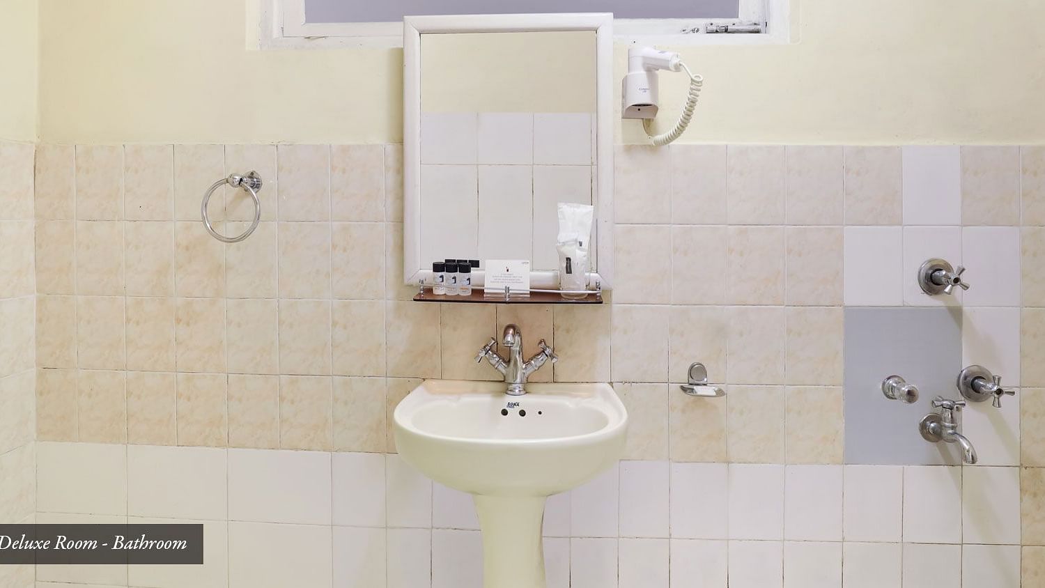 A wash basin and a mirror hung on the wall | Summit Newa Regency & Spa, Pelling