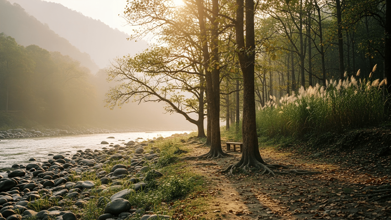 Digital detox and wellness escape near Rajaji National Park in Rishikesh