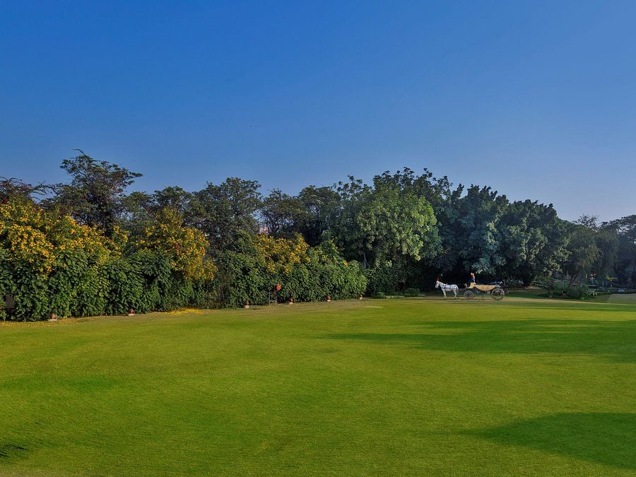 Horse-drawn carriage on a vast green lawn bordered by trees under a clear blue sky - Heritage Village Resorts & Spa.