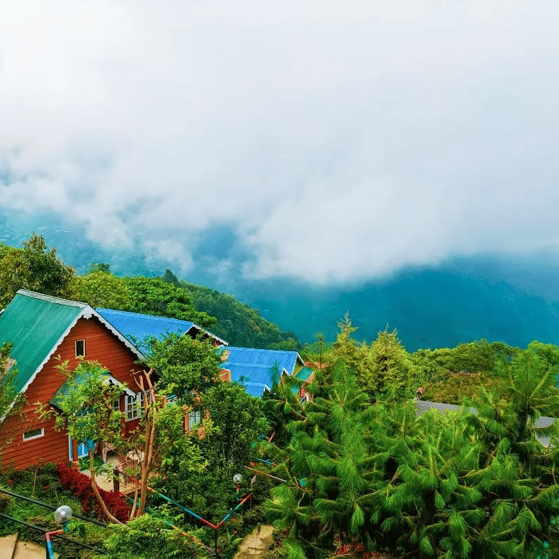Beautiful resort in Kurseong with colorful cottages, surrounded by lush green hills, pine trees, and misty clouds overlooking the Himalayan valley — perfect stay for nature lovers in Darjeeling
