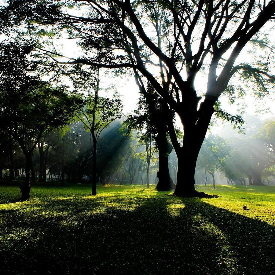 Cubbon Park  Bangalore lrtpsg