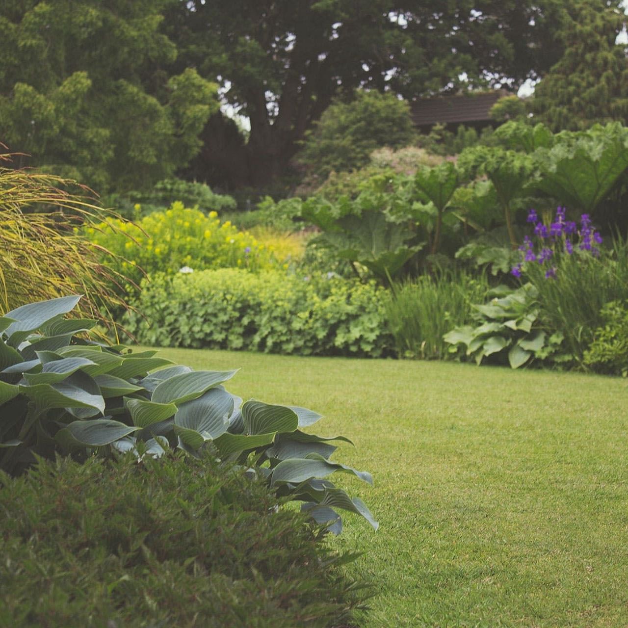 A well mowed lawn on a cloudy day