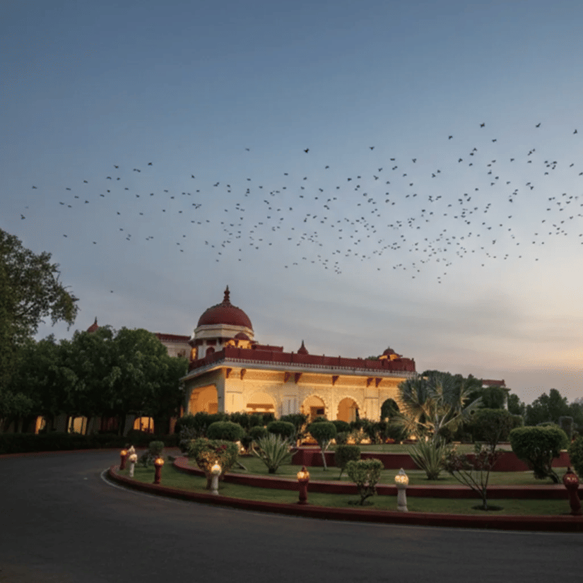 Illuminated facade with birds flying in the sky.