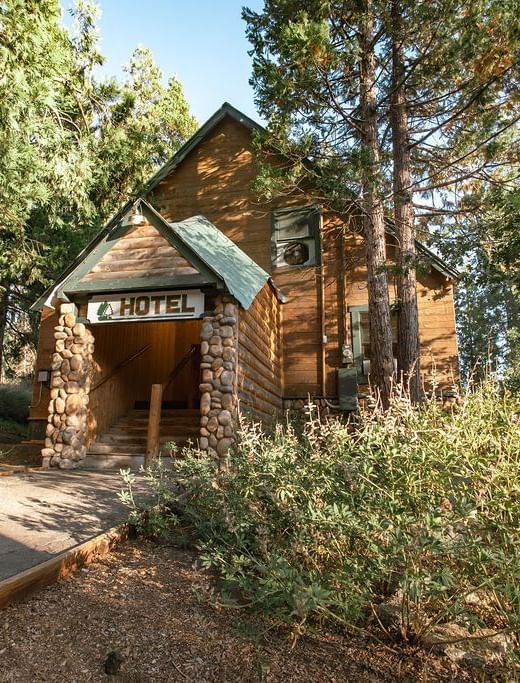 Cabin-style wooden lodge nestled among dense forest trees with pathway leading to entrance.