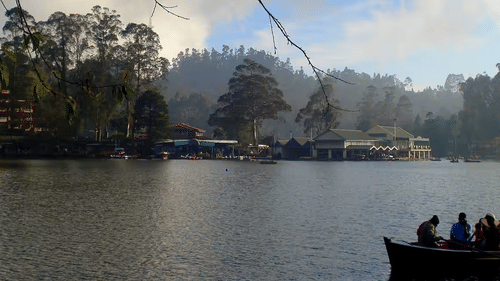An overview of Kodaikanal Lake with many trees and a solitary boat with people in it in view. It is a must-visit in your Kodaikanal 2-Day Itinerary - The Carlton, Kodaikanal