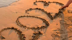 engin-akyurt-Wn0fB57ULYY-unsplash lkcfgz