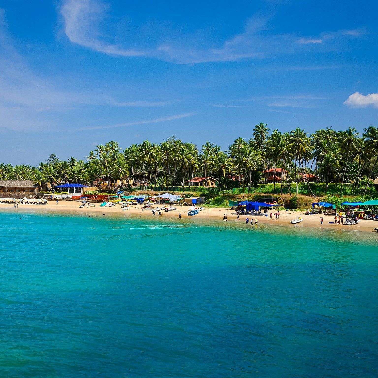 Vibrant beach scene with clear turquoise waters and sandy shores lined with palm trees