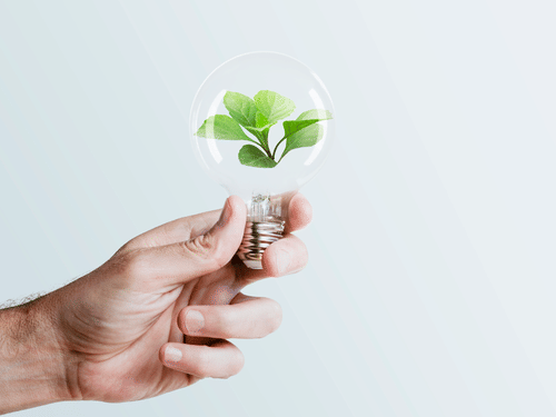 A hand holds a lightbulb containing a small green plant. 