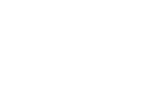 Kesar Bagh Palace logo that reads Kesar Bagh Palace.