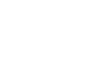 Kesar Bagh Palace logo that reads Kesar Bagh Palace.