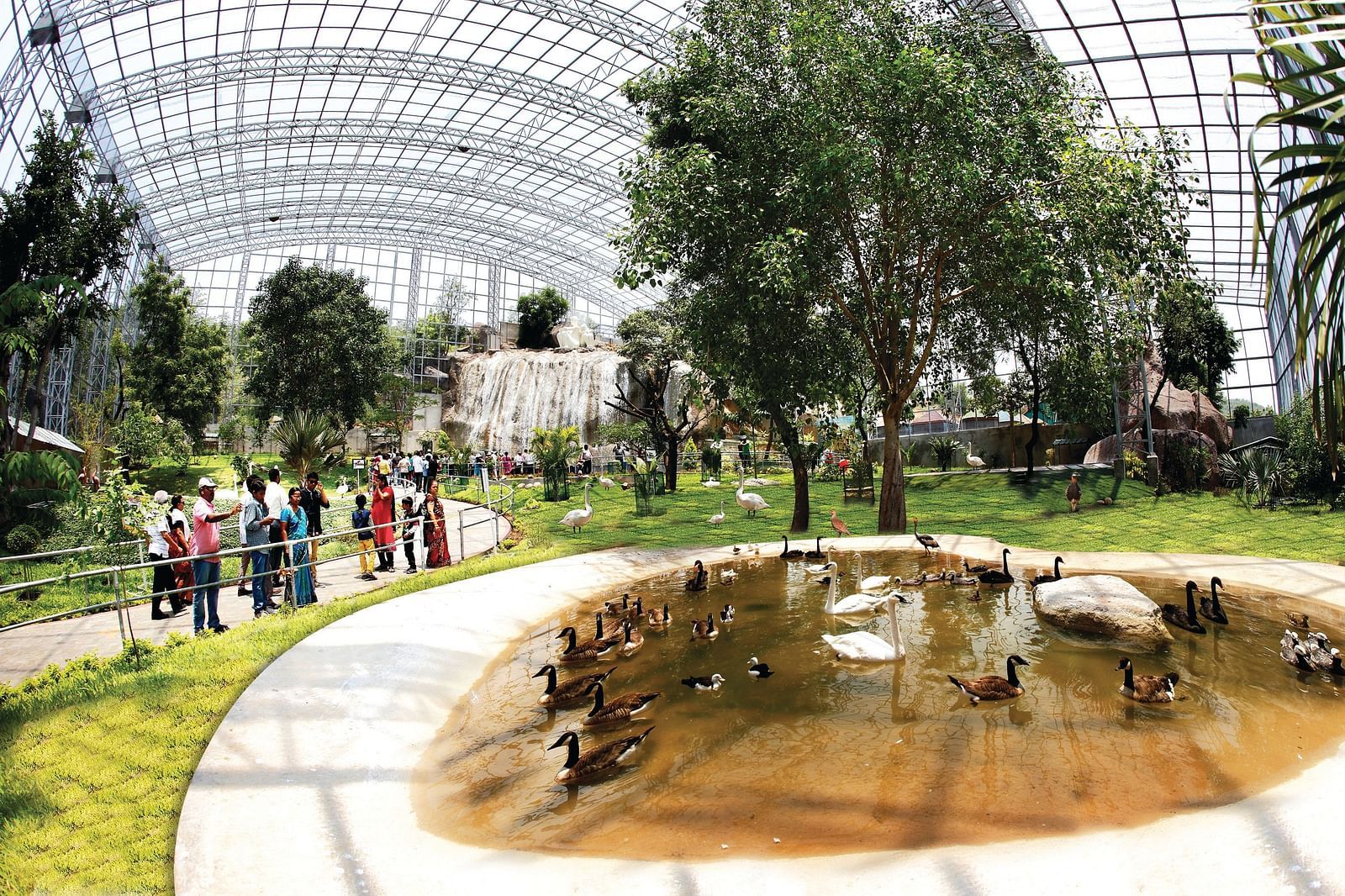 Bird Park