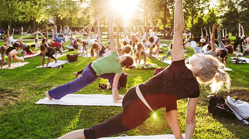 A group of people on yoga mats outdoors, stretching together in an open grassy area