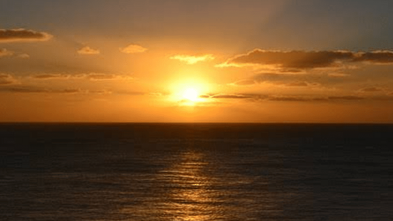 Blog 5