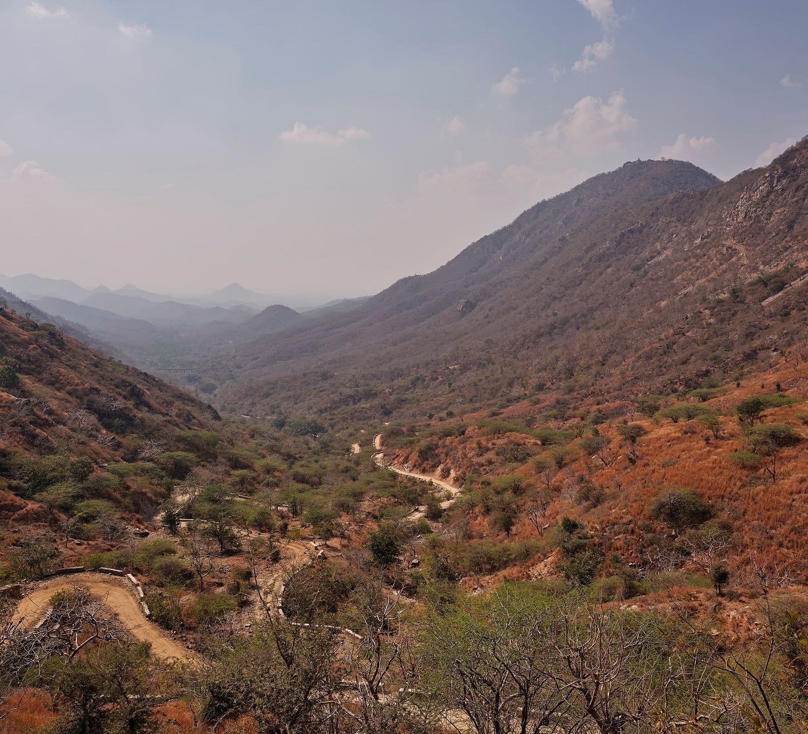 image of the aravali range of mountains with golden coloured soil and less vegetation on them with a clear sky in the background