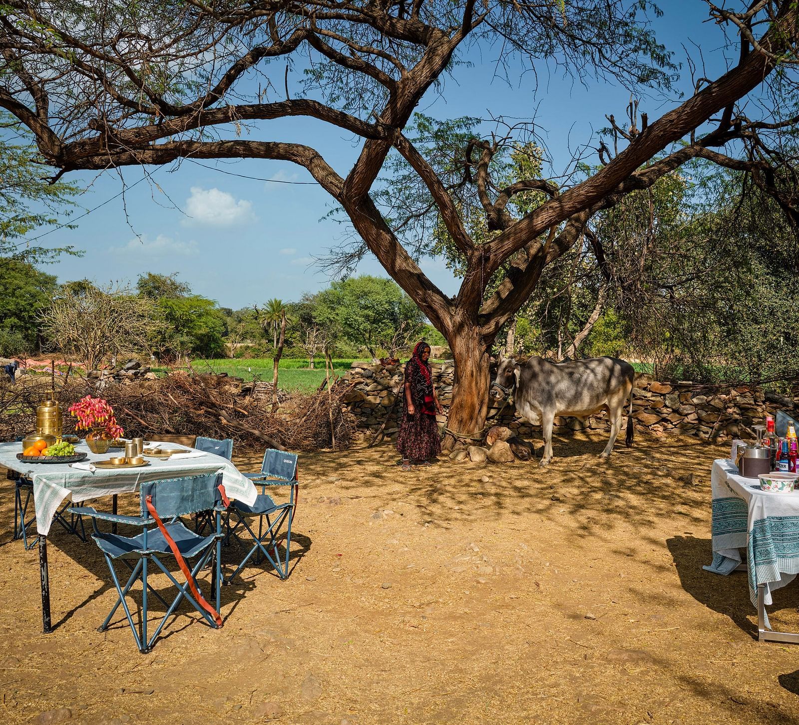 Image of out door farm lunch at Dev Shree, Deogarh featuring well arranged seating areas waith a lot of dishes