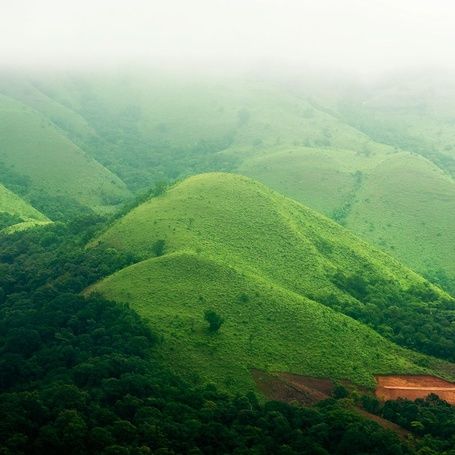 Lush green, mist-covered Coorg hills in a serene landscape.