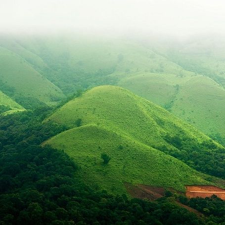 Orange-County-Article-A-Photographers-Guide-to-Coorg-part-II-by-Prathap-Photography-001