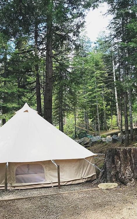 Exterior of a tent at Shaver Lake Village Hotel surrounded by trees.
