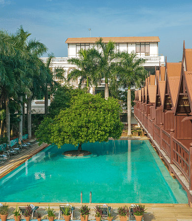 Overview of the swimming pool with a tree in the centre | Mango Hill, Pondicherry
