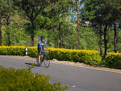 Person cycling on a scenic road surrounded by greenery.