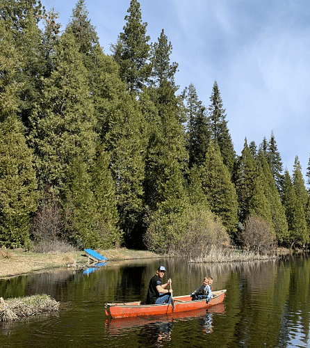 A person kayaking in a lake with pine trees in the backdrop.