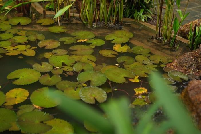 Home-Page-Mood-img-2