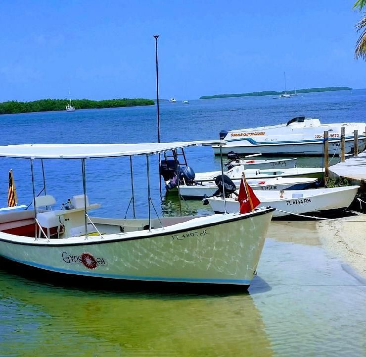 Boats moored on the shore at Casa Morada with clear skies, palm trees, and calm sea in the background.