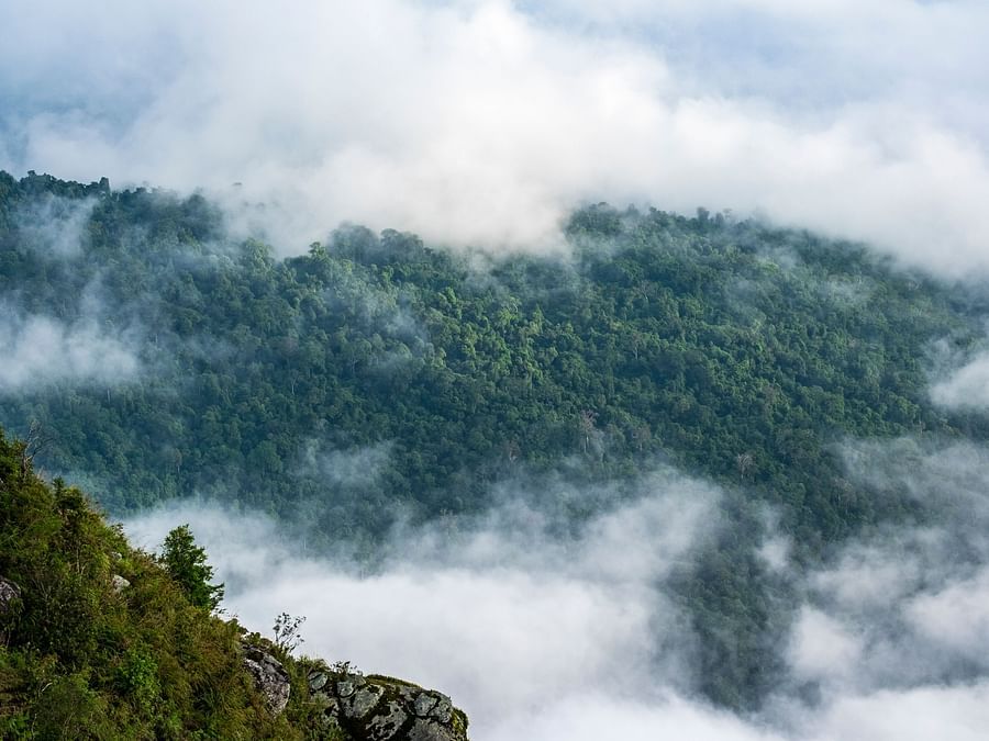 Himavad Gopalaswamy Betta – A mist-covered hill offering breathtaking views and a revered temple at its peak.