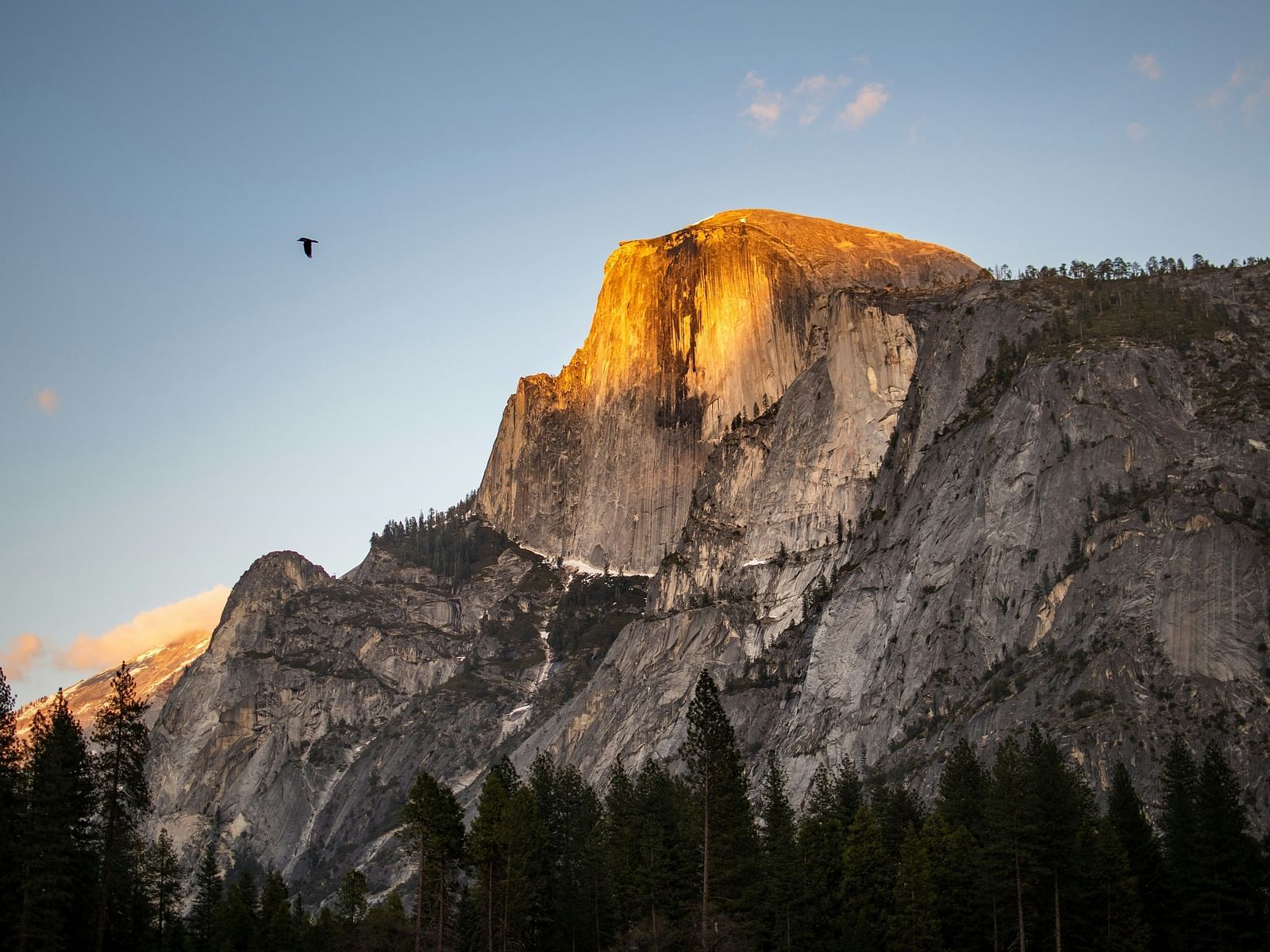 a bird flying past a rocky mountain peak during the day.