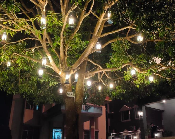 a lit up tree at our hotel